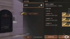 廖万英:为民服务践初心 履职尽责担使命